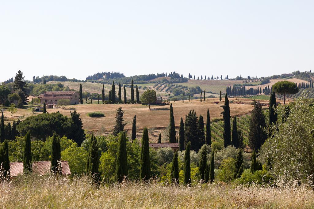 Agriturismo Cignan Rosso Villa Castellina in Chianti Ngoại thất bức ảnh
